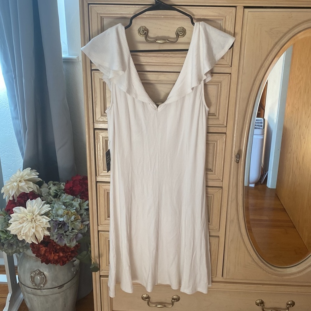 Express Dress - Picture 5 of 5